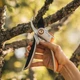 Площинний секатор суцільнометалевий Fiskars Plus P531 (1057168) - изображение 5