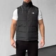 Чоловіча жилетка однотонна чорна з лого "TNF" M (257) - зображення 1