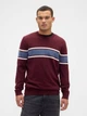 Джемпер мужской GAP 84487426 M Бордовый (1159856496) - изображение 1