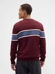 Джемпер мужской GAP 84487426 M Бордовый (1159856496) - изображение 2