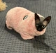 Костюм для котів (кішок) флісовий Пухнастик S Рожевий - зображення 3