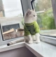 Спортивная кофта для котов (кошек) Параллель XS Зеленый - изображение 3