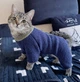 Костюм для котов (кошек) Baby M Темно-синий - изображение 4