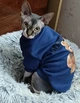 Толстовка для котов (кошек) Тедди XS Синий - изображение 4