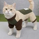 Флисовый костюм для котов (кошек) Петрос 2XL Бежевый - изображение 1
