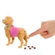 Лялька Barbie Прогулянка з песиком (JJB46) - зображення 6
