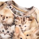 Свитшот Molo Disc Fuzzy Fluffy, цвет бежевый, размер 74 (4W25J203.9377) - изображение 3