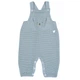 Полукомбинезон хлопковый Chicco Koala, цвет голубой, размер 56 (090.95647.051) - изображение 1