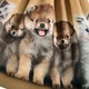 Платье Molo Casie Warm Fluffiness, цвет горчичный, размер 98/104 (2W25E218.9606) - изображение 3