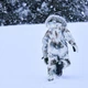 Зимовий термокомбінезон Molo Polaris Fur Bison, колір блакитний, розмір 122 (5W25N204.9368) - зображення 3