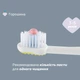 Зубна щітка Chicco на присосці, 3-6 років, 2 шт., колір рожевий (12084.00) - зображення 4