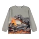 Реглан Molo Rube Dinosaur Fog, колір сірий, розмір 122 (1W25A404.9721) - зображення 1