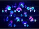L.O.L Surprise Lights Pets Real Hair Doll LOL Питомец Вихованець ЛОЛ світиться при ультафіолеті 564898 - изображение 6