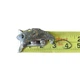 Воблер Lucky Craft Micro Air Claw S 33mm 2.8g, Pellet Spatter, б/в - изображение 5