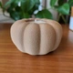 Подсвечник в виде тыквы -Mini Pumpkin Light осенний декор для дома и подарков - изображение 8