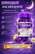 Вікс ZzzQuil Natura Vicks ZzzQuil Natura Мелатонін 1 мг — желе для сну з валеріаною, ромашкою та лавандою, смак лісових ягід, 60 шт - зображення 1