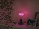 Настільна лампа OSRAM 1906 LETTER TABLE LOVE 1.2W E27 (4058075853188) - зображення 6