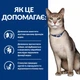 Лечебный корм Hill's PD Feline K/D 1.5 кг (609842) - изображение 5
