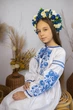 Вишита сукня для дівчинки Trend Диво 140 Білий (SOLSUDDYBSY) - изображение 4