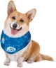 Бандана для собак ALL FOR PAWS VP7080 Chill Out Ice розмір S (my-12104) - изображение 3