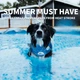 Бандана для собак ALL FOR PAWS VP7080 Chill Out Ice розмір S (my-12104) - изображение 9