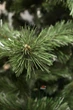 Искусственная ель Классика Noel 1,8м - изображение 3