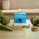 Чай Артишок 20 фильтр-пакетов Fito Pharma желчегонный для выведения токсинов Natur Boutique - изображение 1