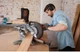 Пила торцювальна мережева BLACK+DECKER BES700 - зображення 3