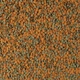 Корм сухий Tetra Wafer Mix для акваріумних донних риб та ракообразних в пластинах 15 г - зображення 2