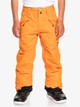 Гірськолижні штани для хлопчиків Quiksilver Boundry Snow 10K 140 EQBTP03030 NMD0 (10) - зображення 1
