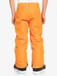 Гірськолижні штани для хлопчиків Quiksilver Boundry Snow 10K 140 EQBTP03030 NMD0 (10) - зображення 2