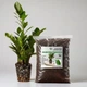 Субстрат крафтовый для замиокулькаса 3л (Zamioculcas zamiifolia) - изображение 1