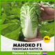 Пекинская капуста Bejo Маноко F1, 20 шт. - изображение 2