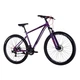 Велосипед Discovery 29" TREK DD рама-19" ST 2025 фіолетовий (OPS-SP-29-078) - изображение 6