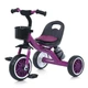 Дитячий триколісний велосипед TURBO TRIKE MT 3197-1, фіолетовий, з кошиком для іграшок та пляшечкою для води - зображення 1