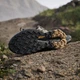 Мужские кроссовки для треккинга Adidas Terrex Trailmaker 2 JQ9924 44 (9.5UK) 28 см Savannah (4067903705247) - изображение 12