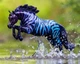Zulu traditional Breyer 10066 - изображение 1