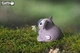 Збірна 3D модель Коала - изображение 5