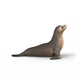 Морський лев Schleich 14933 - изображение 5