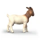 Бурська коза Schleich 14929 - изображение 3