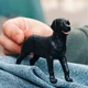 Чорна самка лабрадора-ретрівера Schleich 14923 - зображення 2