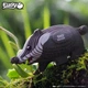 Збірна 3D модель Борсук - изображение 8