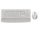 Комплект (Клавиатура и Мышь) A4Tech Fstyler FG2500S Plus White - изображение 1