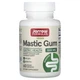 Смола мастикового дерева Jarrow Formulas (Mastic Gum) 60 таблеток (JRW-23007) - изображение 1