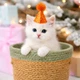 Колпак с помпоном для животных Оранжевый 8,9 х 7,6 см Podarkus DK034-O - изображение 1