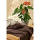 Плед Прованс SOFT косы Мокко 140х180 см (4823093410459) Прованс 4823093410459 922915 - изображение 4