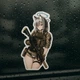Набір вологостійких стікерів 10шт Anime military 6 наклейки на авто, мото, ноутбук - изображение 5