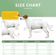 Шлея для поддержки собак Wan Talk Full Body Dog Lift, Medium - изображение 4