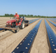 Пленка SHD 30 мкм 1м*10 м Пленка SHD для мульчирования грунта с перфорацией Shadow - изображение 6