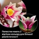 Конструктор Lego Botanicals Гілки магнолії (11510) - изображение 6